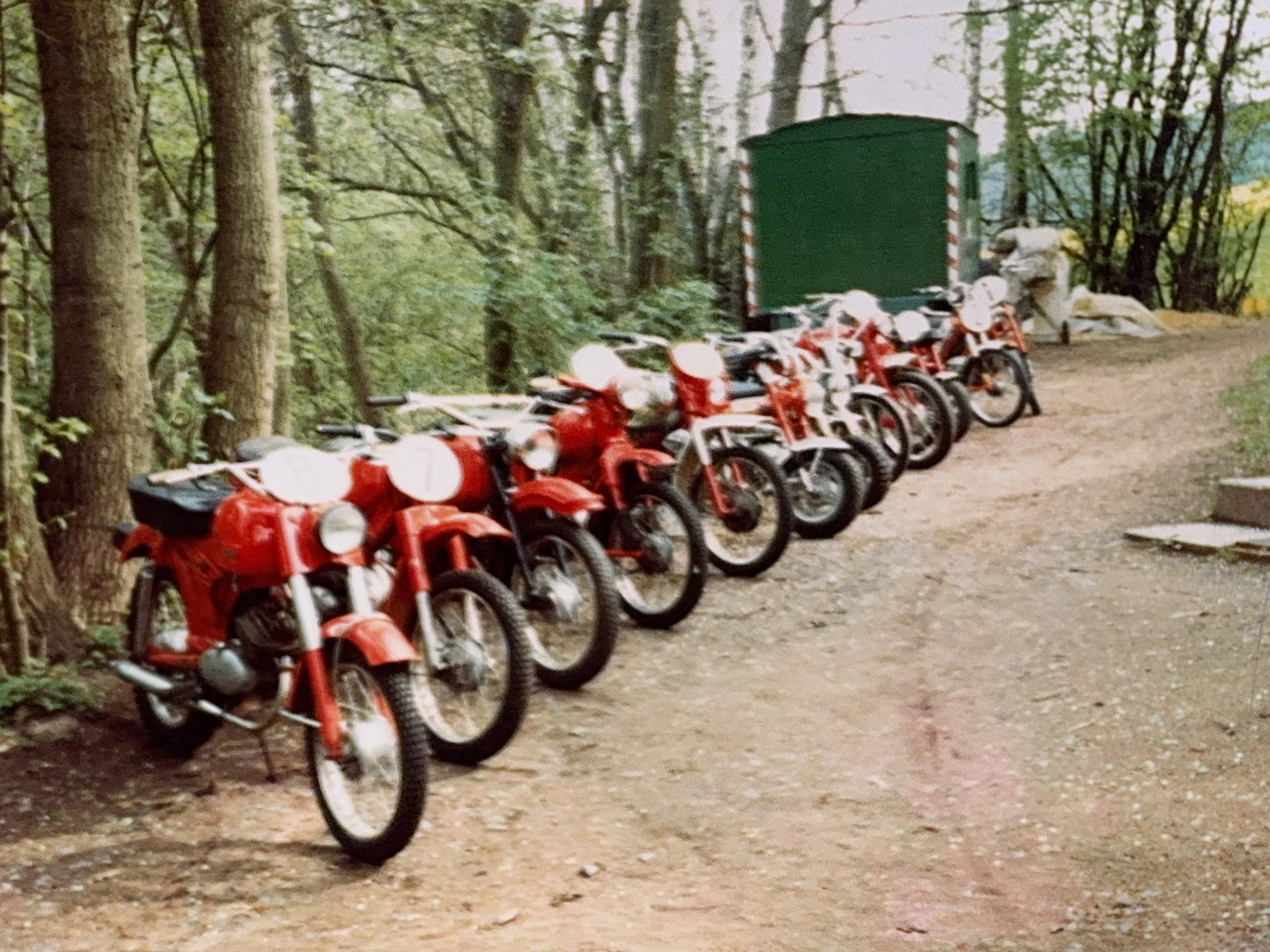 Reihe historischer roter Motorräder am Waldrand, Aufnahme aus dem Vereinsarchiv des MSC Coburg